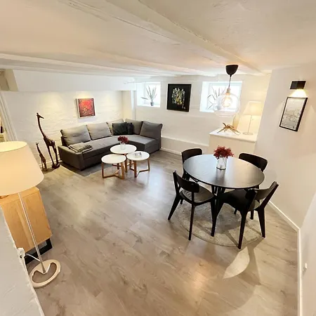 130m2 Lux On The Pedestrian Street * Ольборг