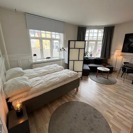 130m2 Lux On The Pedestrian Street Aalborg
